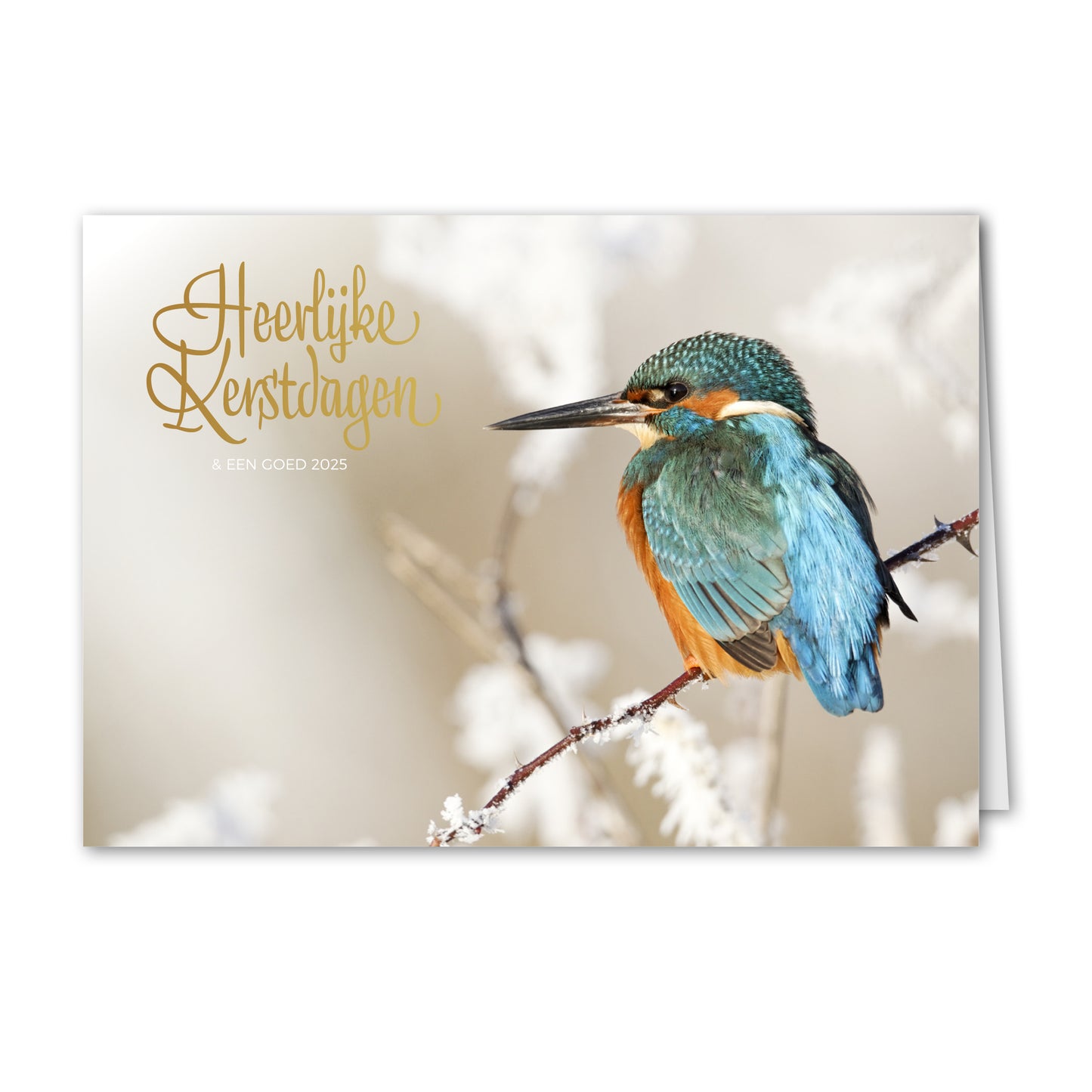 Kerstkaart IJsvogel