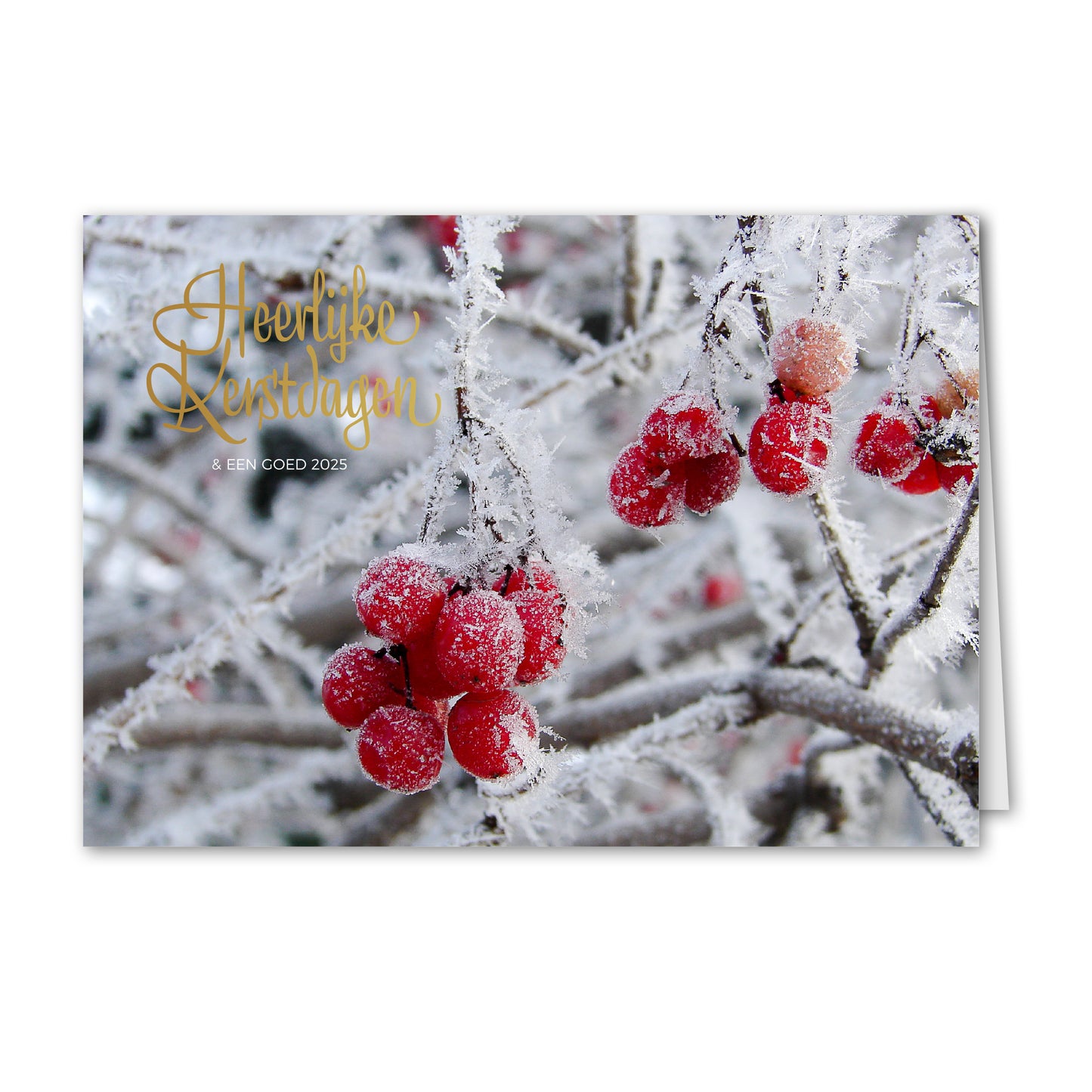Kerstkaart Winterse Boom