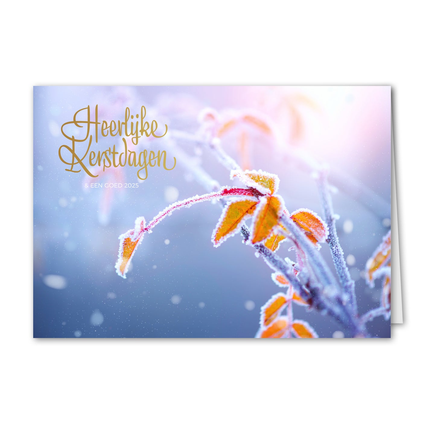 Kerstkaart Winterse Boom