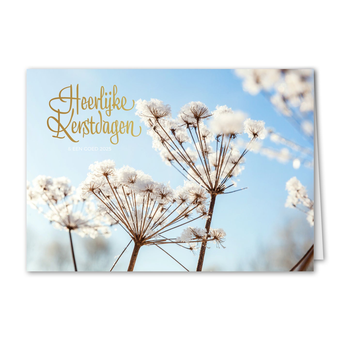 Kerstkaart Winterse Bloemen