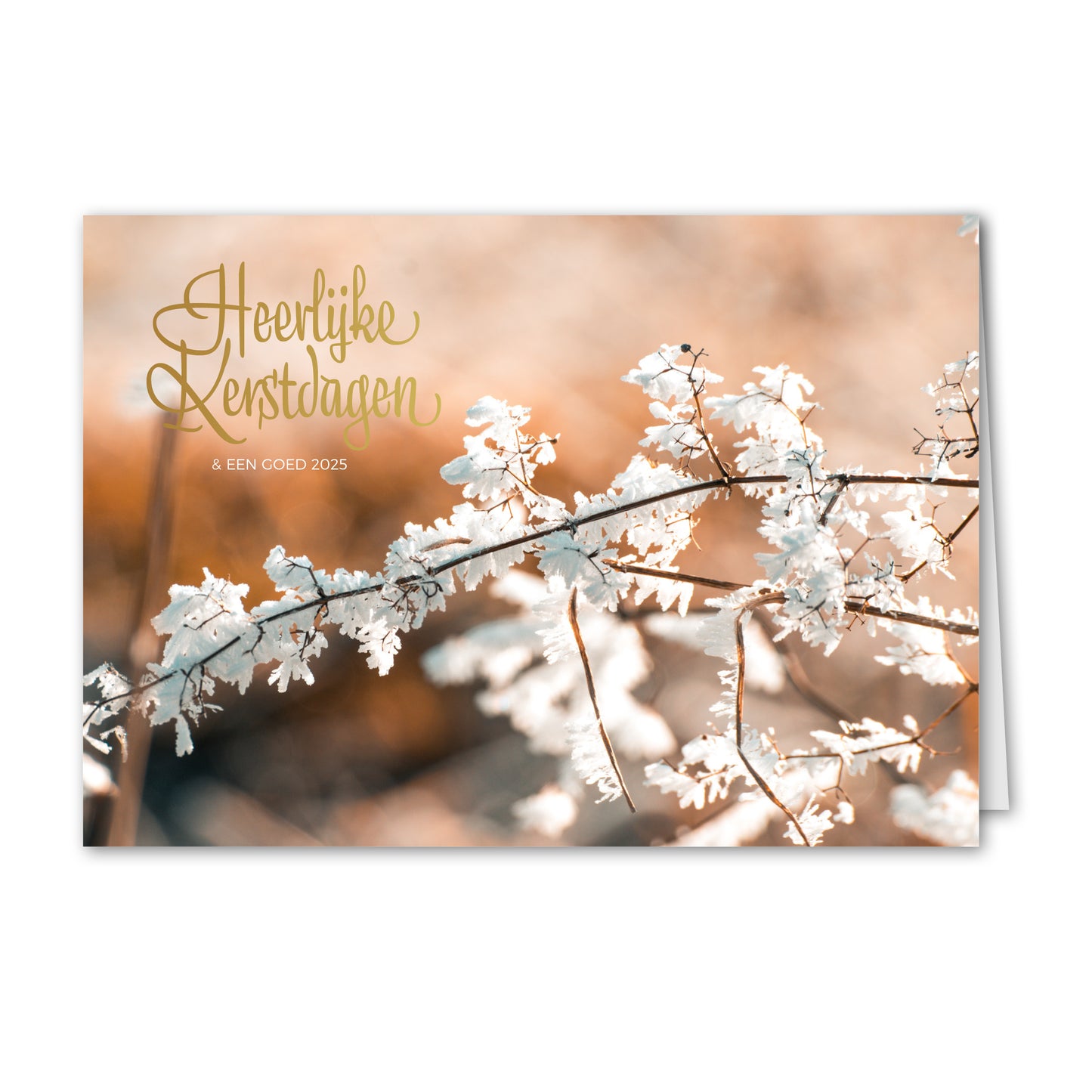 Kerstkaart Winterse Tak met IJskristallen