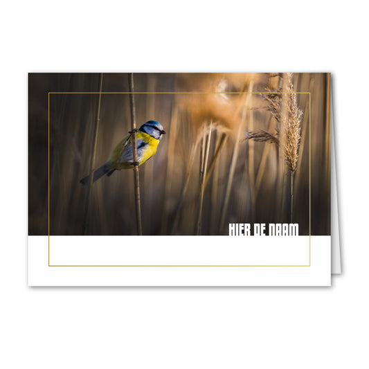 Trauerkarte Blaumeise (personalisiert)