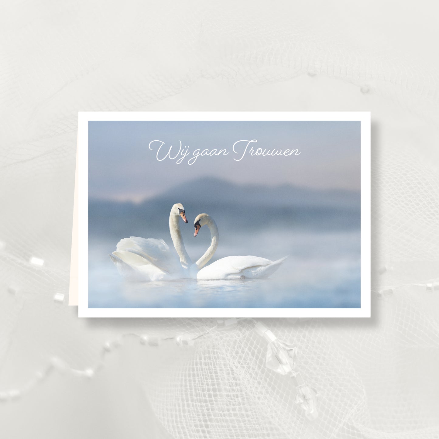 Christmas Card Winter Decorations